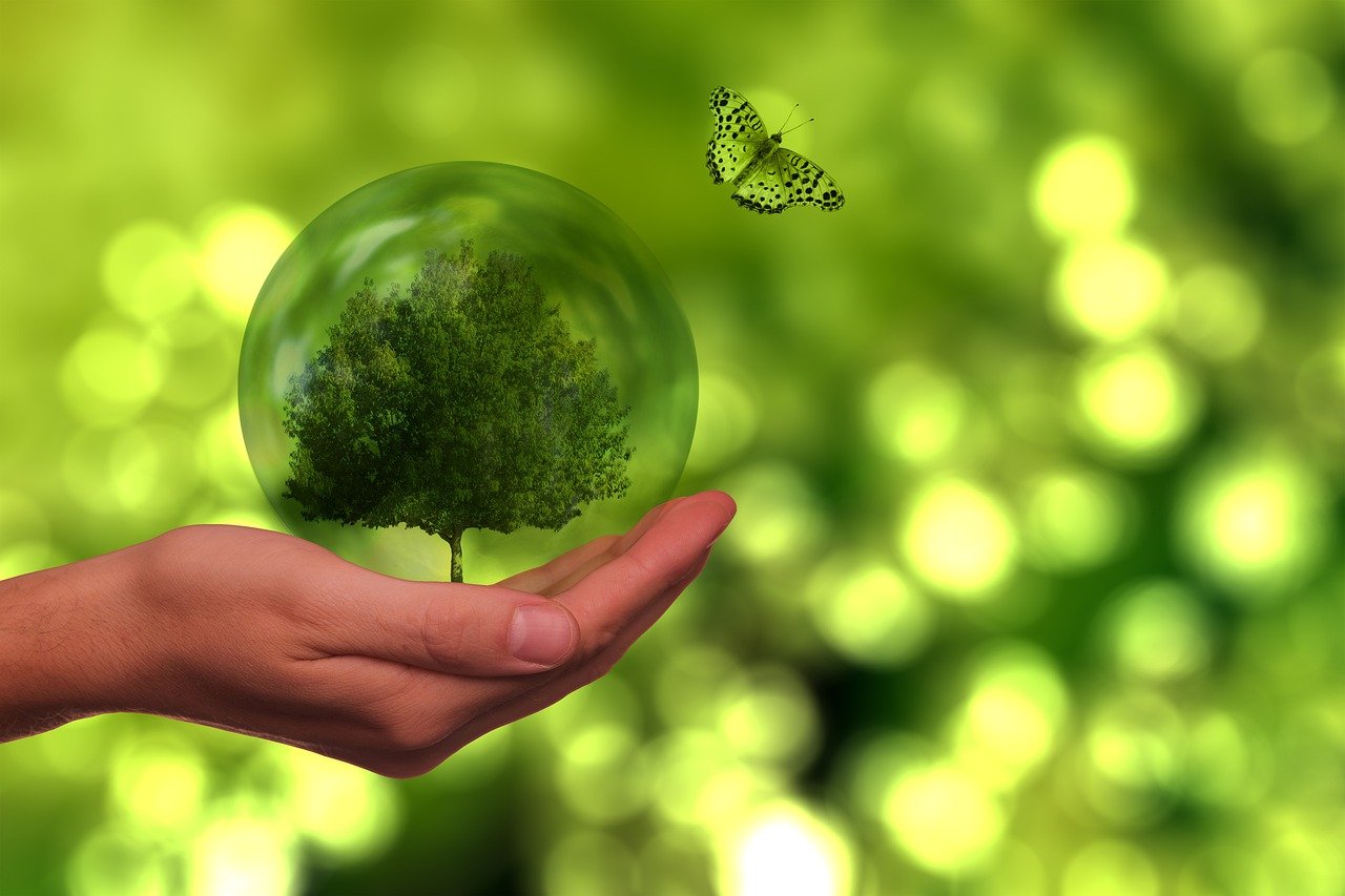 découvrez le monde de la mode durable, un mouvement qui allie style et responsabilité environnementale. apprenez comment choisir des vêtements éthiques, réduire votre empreinte carbone et soutenir des marques innovantes qui respectent la planète.