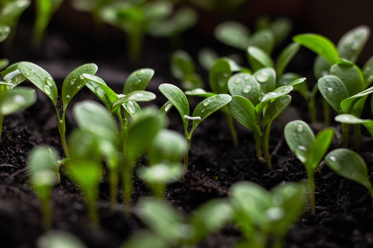 découvrez les principes de durabilité et leur impact sur notre environnement. apprenez comment adopter des pratiques écologiques pour un avenir plus vert, améliorer votre empreinte carbone et promouvoir un développement durable.