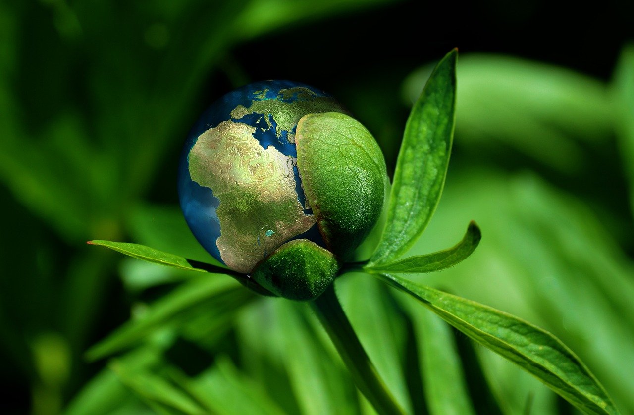 découvrez comment la durabilité façonne notre avenir. explorez des stratégies et des pratiques innovantes pour un mode de vie respectueux de l'environnement. engagez-vous à préserver notre planète pour les générations futures.