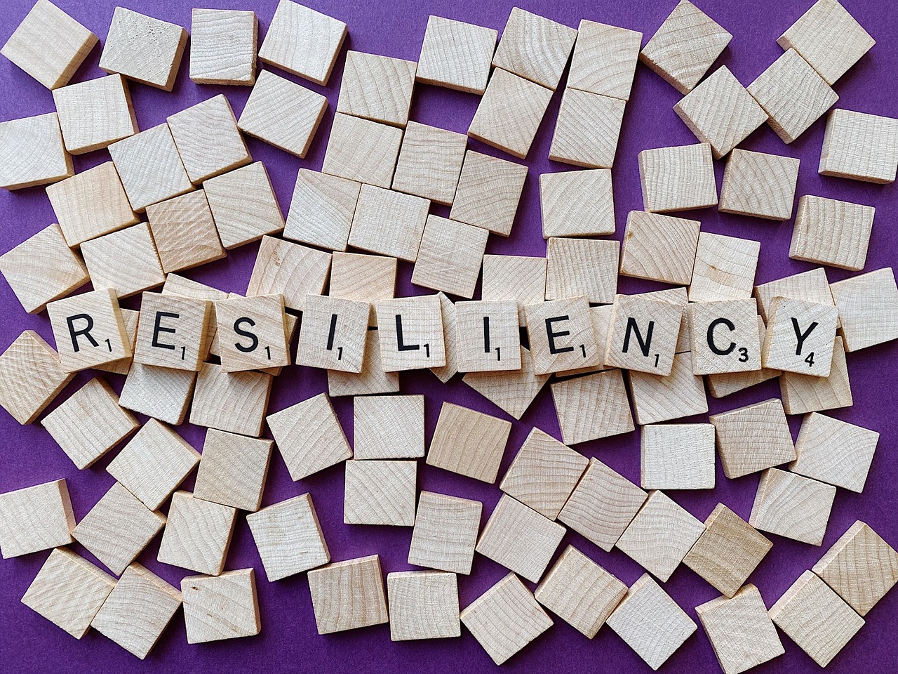 découvrez comment la résilience communautaire renforce les liens sociaux, favorise la solidarité et aide les collectivités à surmonter les crises. apprenez des stratégies pour bâtir des communautés plus fortes et durables face aux défis contemporains.
