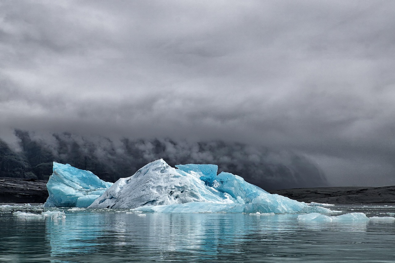 découvrez les causes, les impacts et les solutions face au changement climatique pour mieux protéger notre planète et assurer un avenir durable.