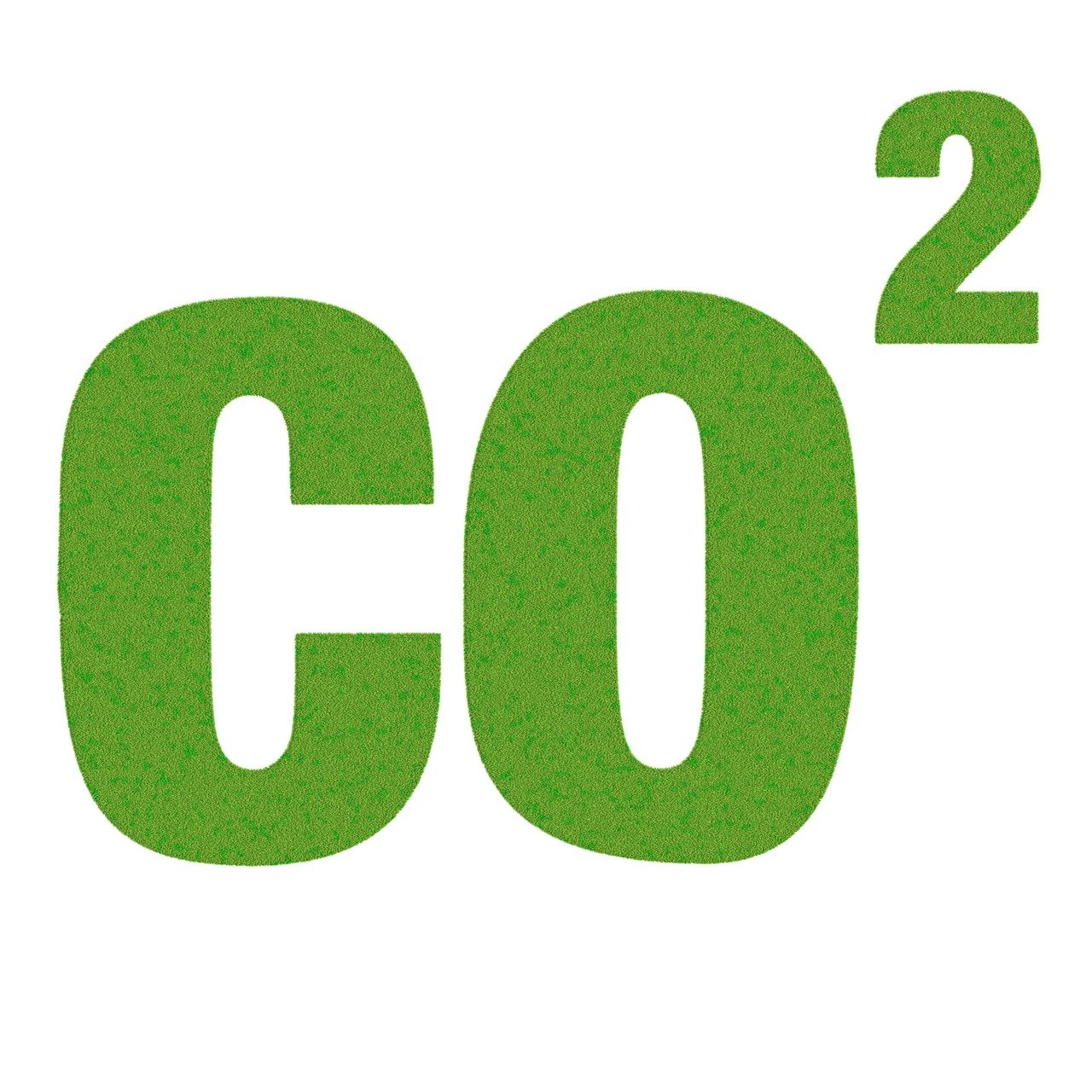 découvrez l'impact des émissions de carbone liées aux forêts et les solutions pour les réduire afin de préserver l'environnement et lutter contre le changement climatique.