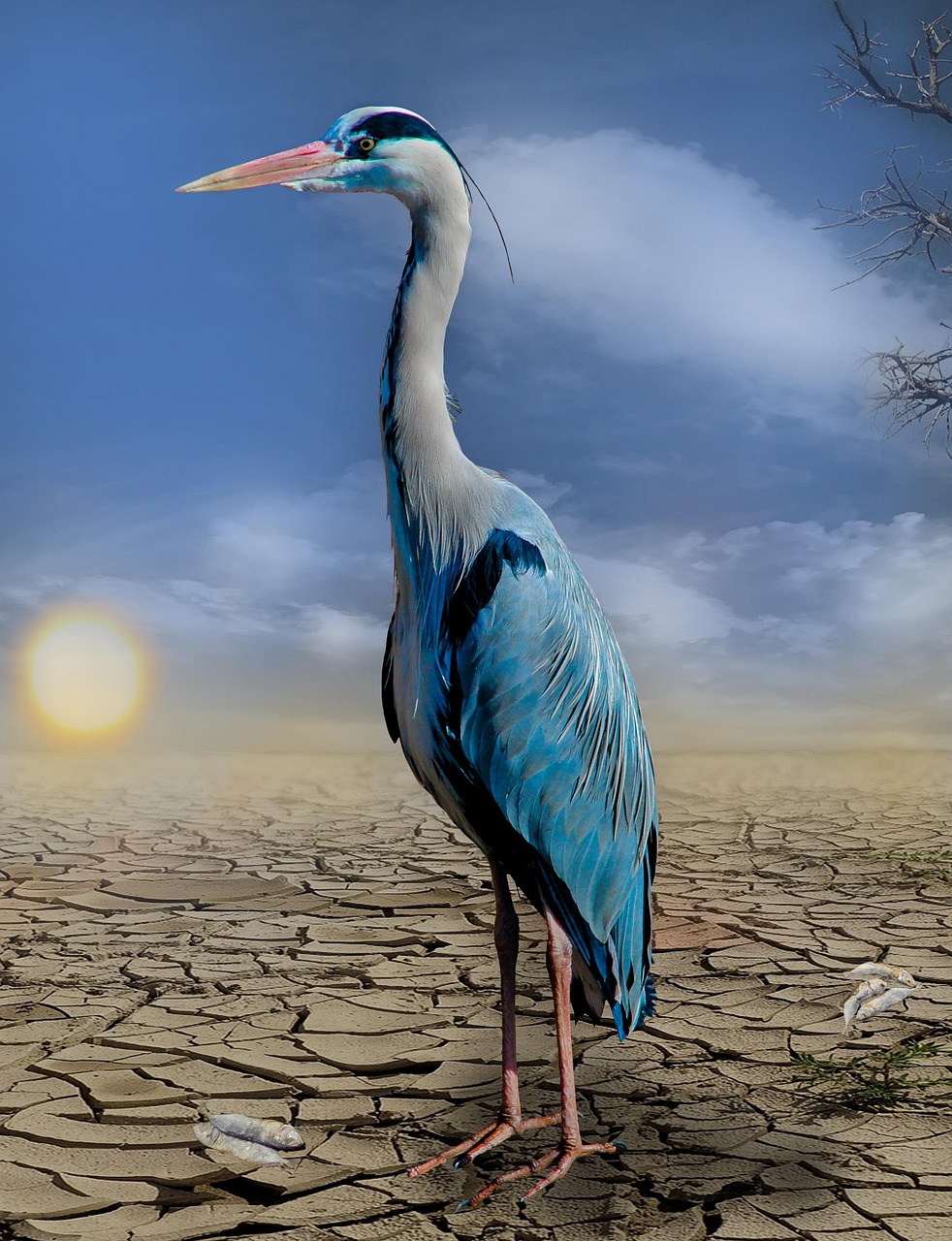 découvrez les dernières actualités, analyses et conseils sur le climat : causes du dérèglement, solutions écologiques et impacts sur notre quotidien. informez-vous et agissez pour un avenir durable !