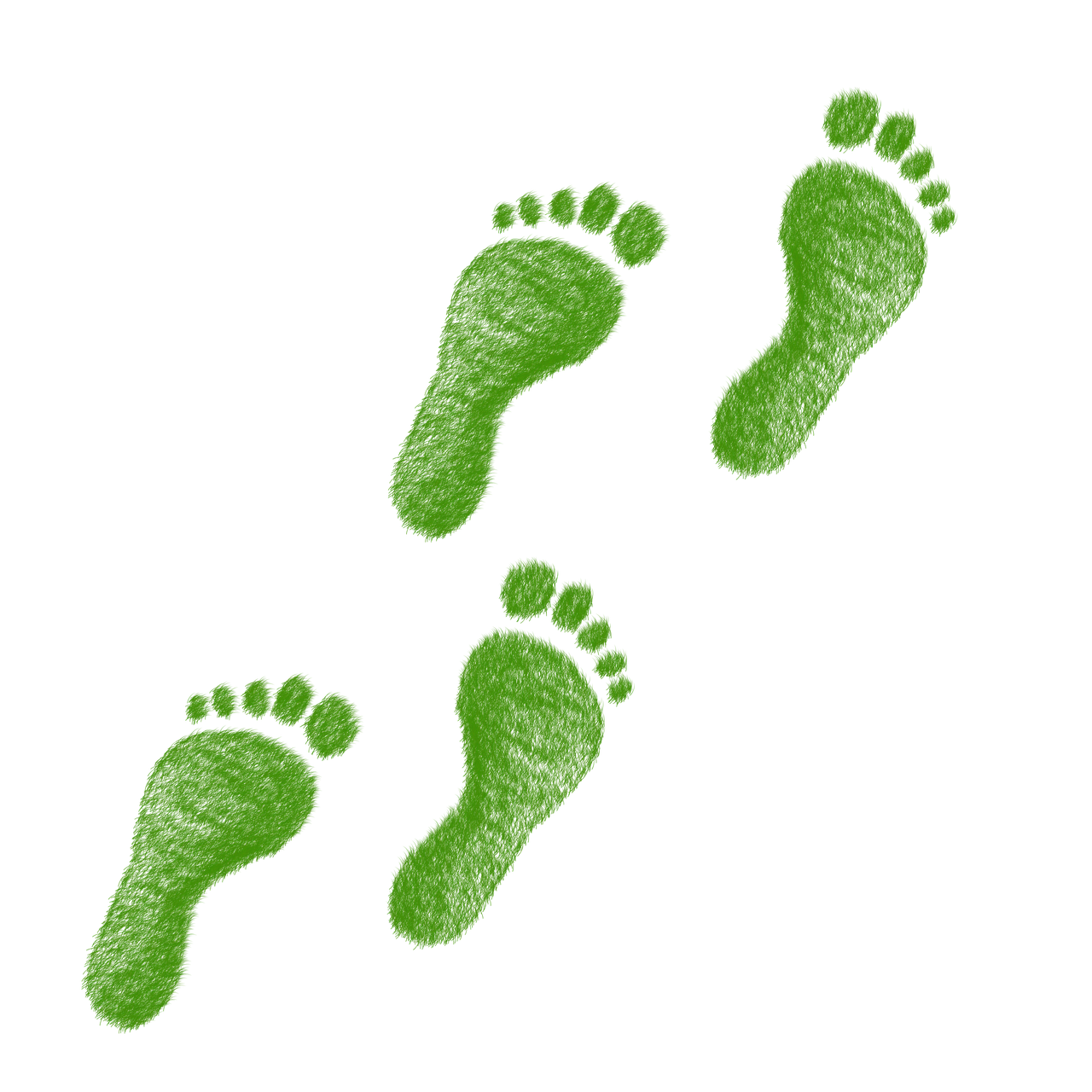 découvrez ce qu'est l'empreinte écologique, son impact sur l'environnement et les moyens de la réduire pour un mode de vie plus durable.