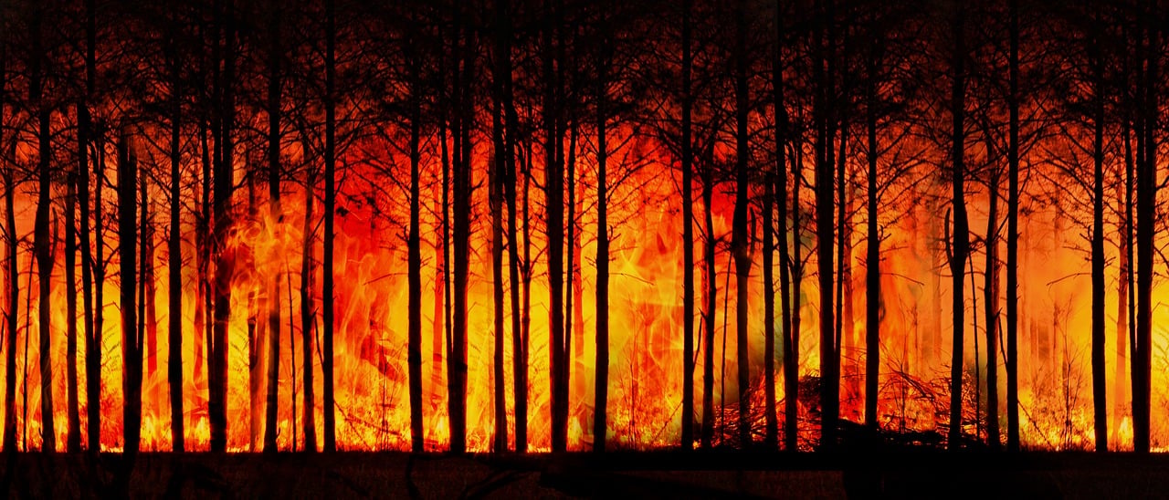 découvrez les causes, effets et solutions au changement climatique. comprenez l'impact du réchauffement planétaire sur notre planète et les actions à entreprendre pour préserver l'environnement.