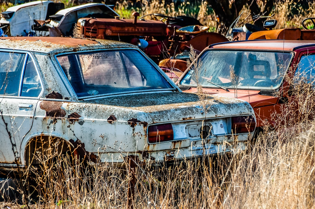 découvrez les enjeux et les initiatives du développement durable, un concept essentiel pour préserver notre planète tout en favorisant la croissance économique et le bien-être social. explorez des solutions innovantes et engageantes pour un avenir plus viable.