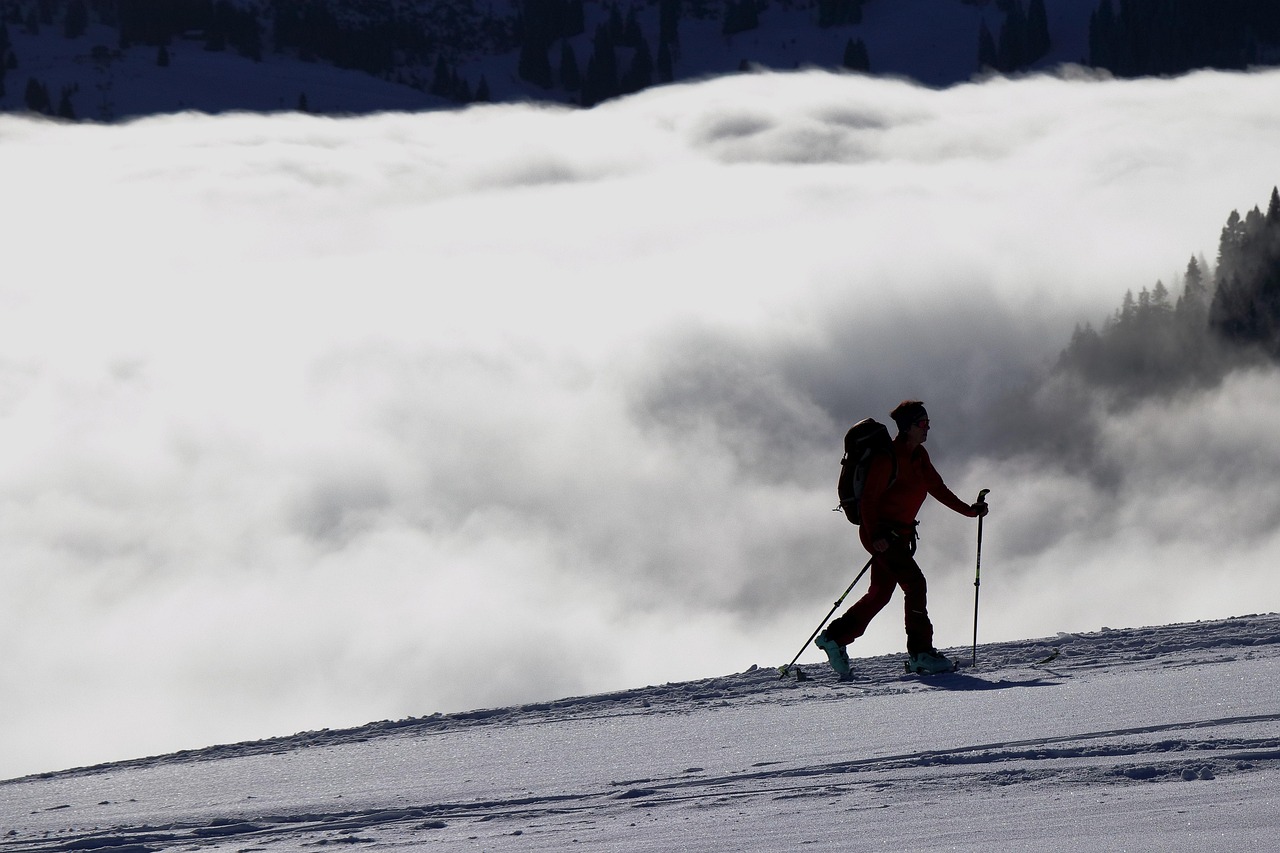 découvrez les sports d'hiver : ski, snowboard, patinage et bien plus pour profiter pleinement de la saison froide.