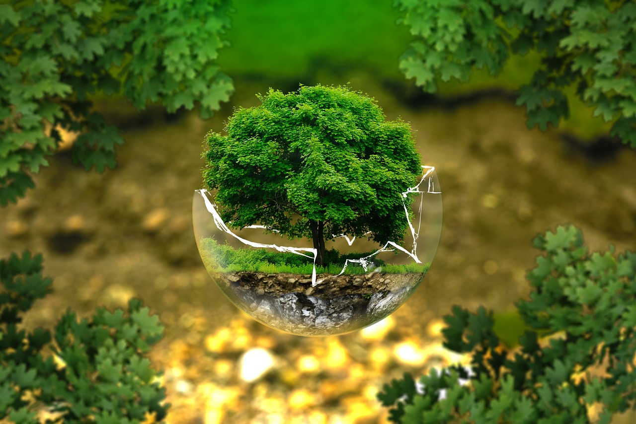 découvrez l'impact environnemental et les actions pour préserver notre planète face aux défis écologiques actuels.