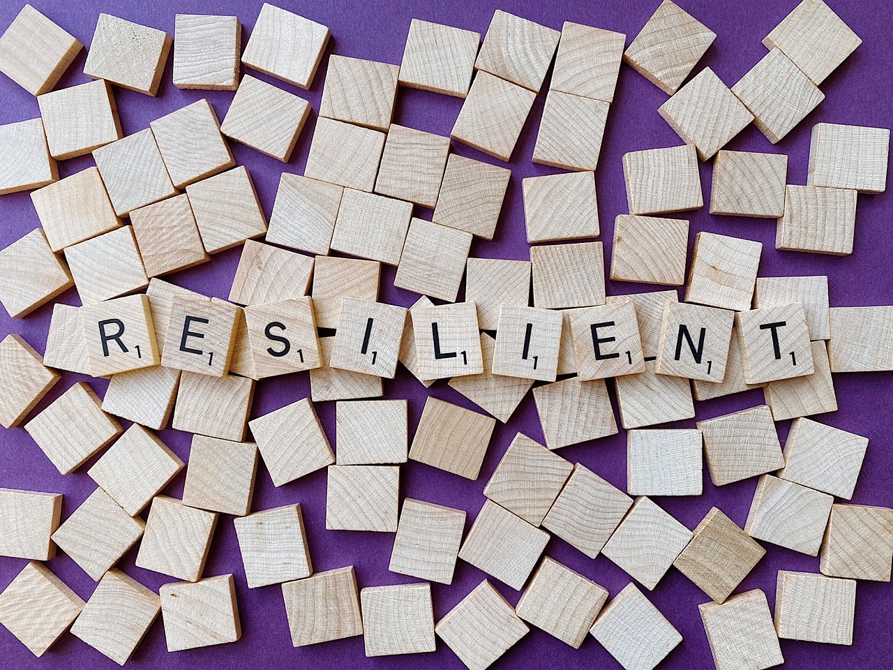 découvrez comment renforcer la résilience communautaire face aux défis contemporains. explorez des stratégies, des initiatives et des témoignages inspirants qui favorisent la solidarité et l'entraide au sein des collectivités.