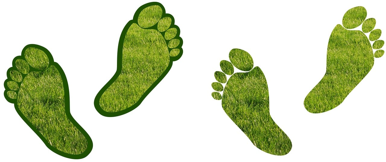 découvrez l'impact de votre empreinte carbone sur l'environnement et découvrez des solutions pratiques pour la réduire efficacement tout en contribuant à la lutte contre le changement climatique.