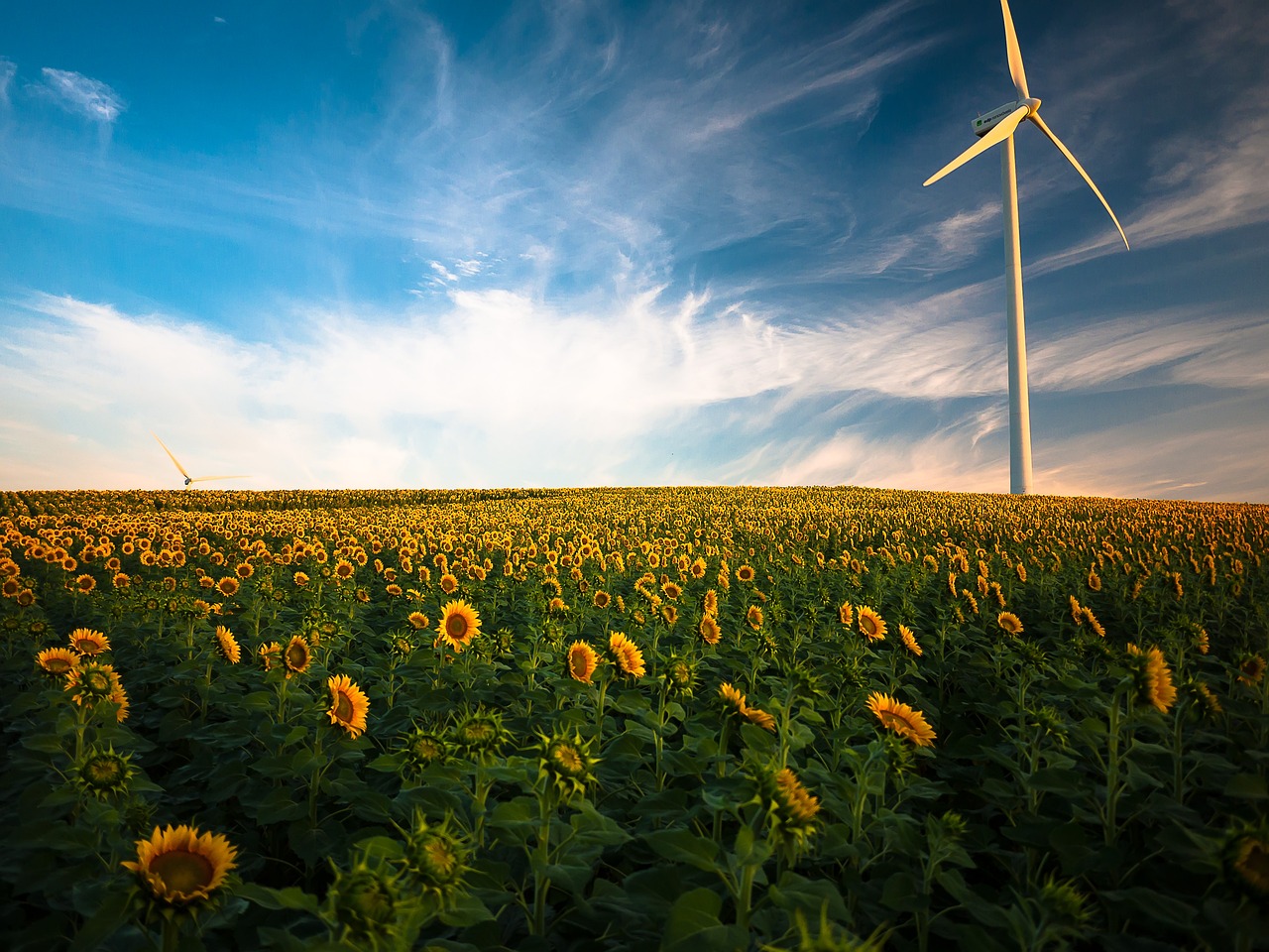 découvrez les avantages de la chaleur renouvelable, une solution durable et écologique pour vos besoins énergétiques. transformez votre approche énergétique avec des technologies innovantes qui utilisent des ressources naturelles pour chauffer votre maison ou vos locaux. optez pour un avenir plus vert dès aujourd'hui !