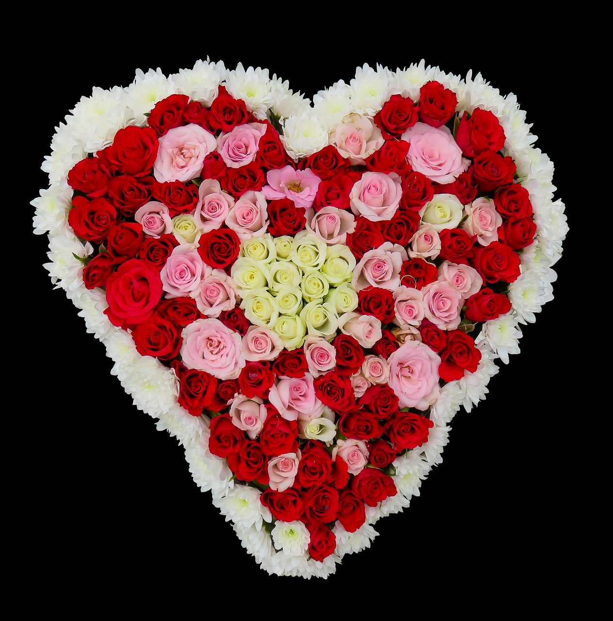 découvrez nos fleurs durables alliant beauté et respect de l'environnement pour des bouquets éco-responsables et élégants.