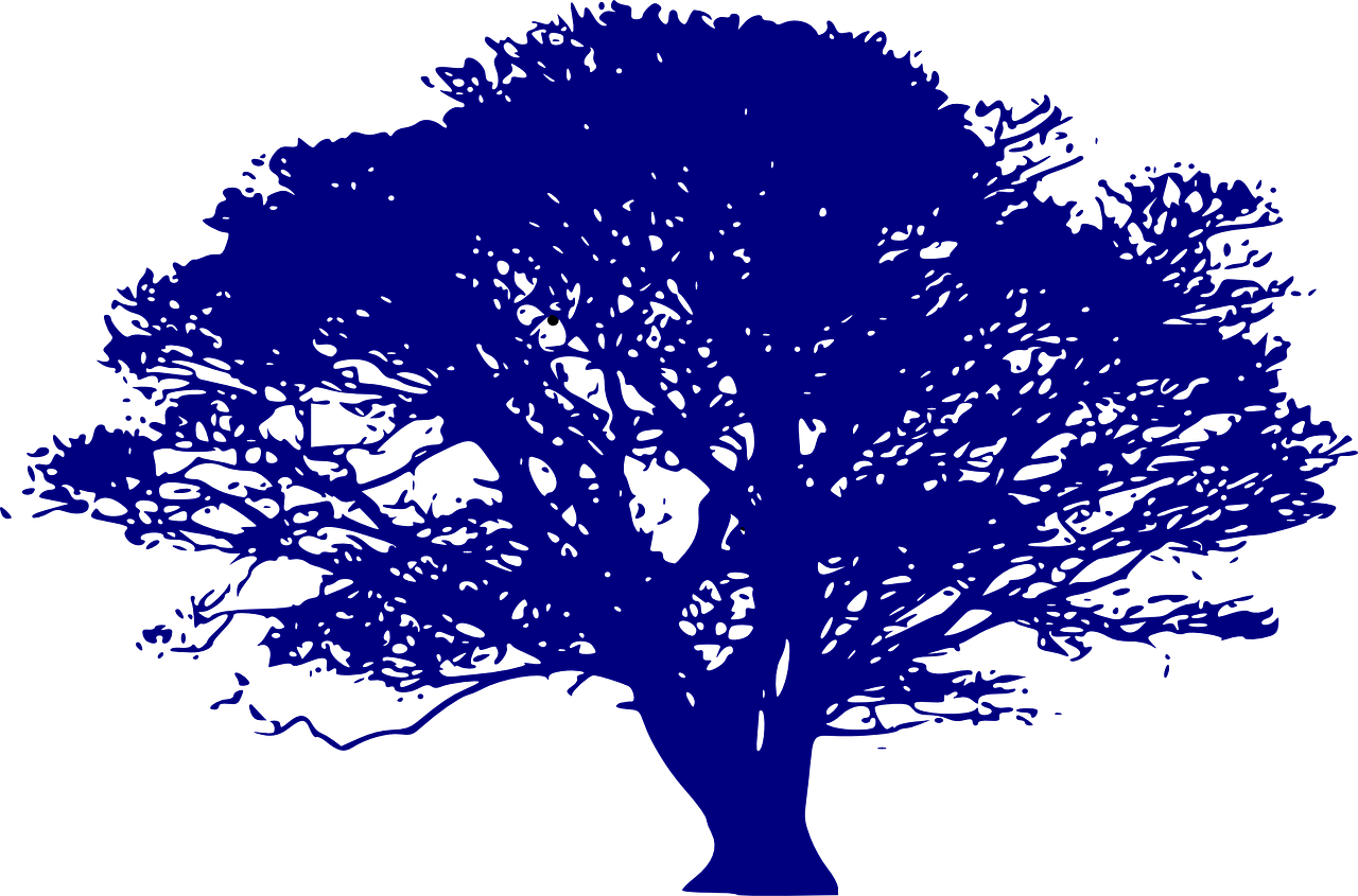 découvrez l'importance des ressources naturelles et leur rôle essentiel dans notre écosystème. explorez comment leur gestion durable contribue à la préservation de notre planète et au développement économique.