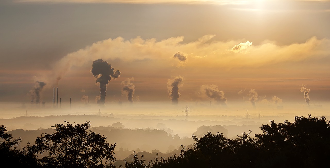 découvrez les enjeux de la pollution environnementale, ses impacts sur la santé et la planète, ainsi que des solutions pour réduire notre empreinte écologique. informez-vous sur les différents types de pollution et engagez-vous pour un avenir plus sain.