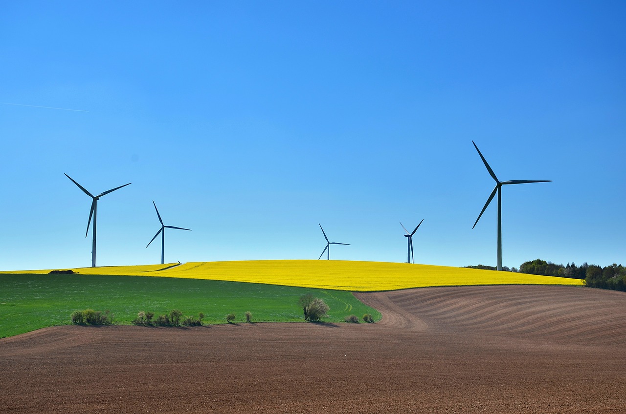 découvrez des pratiques durables qui favorisent la préservation de l'environnement et améliorent la qualité de vie. apprenez comment intégrer des solutions éco-responsables dans votre quotidien pour un avenir plus vert et durable.