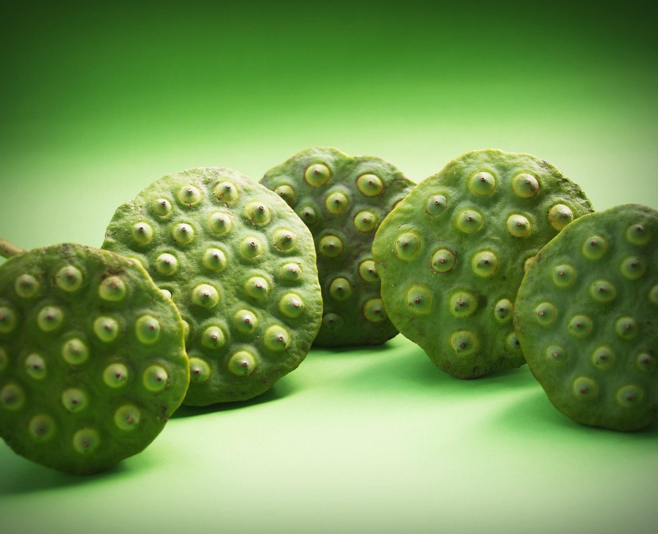 découvrez notre sélection détaillée de produits biologiques frais, cultivés naturellement pour une alimentation saine et respectueuse de l'environnement.