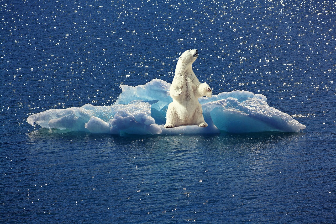 découvrez comment le financement climatique contribue à la lutte contre le changement climatique. explorez les stratégies et les opportunités d'investissement pour un avenir durable, en soutenant des projets innovants et responsables qui préservent notre planète.
