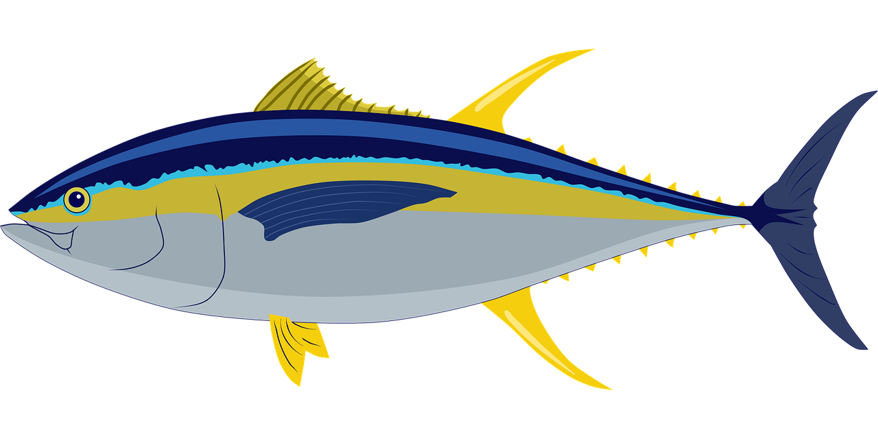 découvrez la beauté et la diversité des océans, véritables poumons bleus de notre planète, et explorez leurs mystères fascinants.