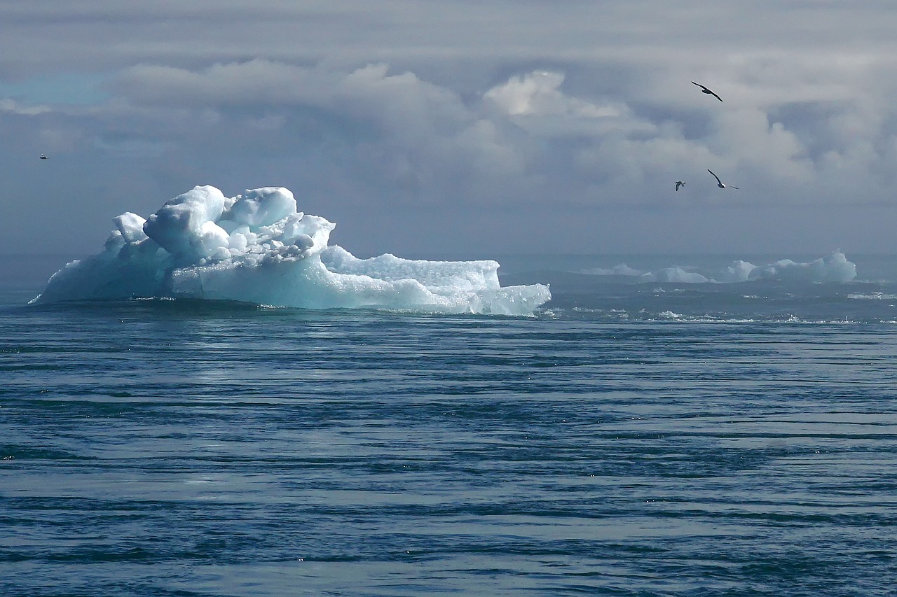 découvrez des stratégies efficaces pour lutter contre le changement climatique. explorez des solutions innovantes, des politiques durables et des pratiques écologiques qui visent à préserver notre planète pour les générations futures.