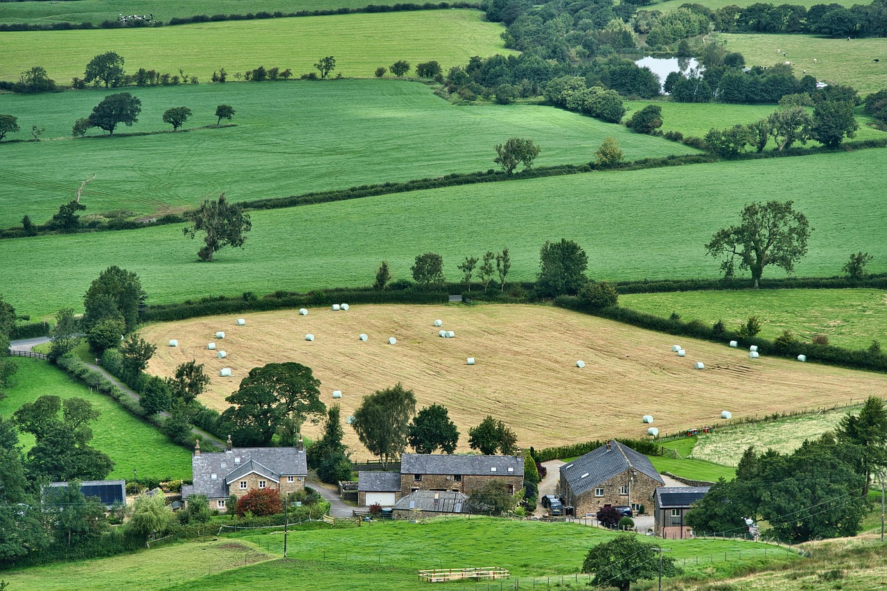 découvrez le concept innovant des fermes urbaines, où l'agriculture durable rencontre la vie citadine. apprenez comment ces espaces fertiles transforment les villes en oasis vertes tout en fournissant des aliments frais et locaux.