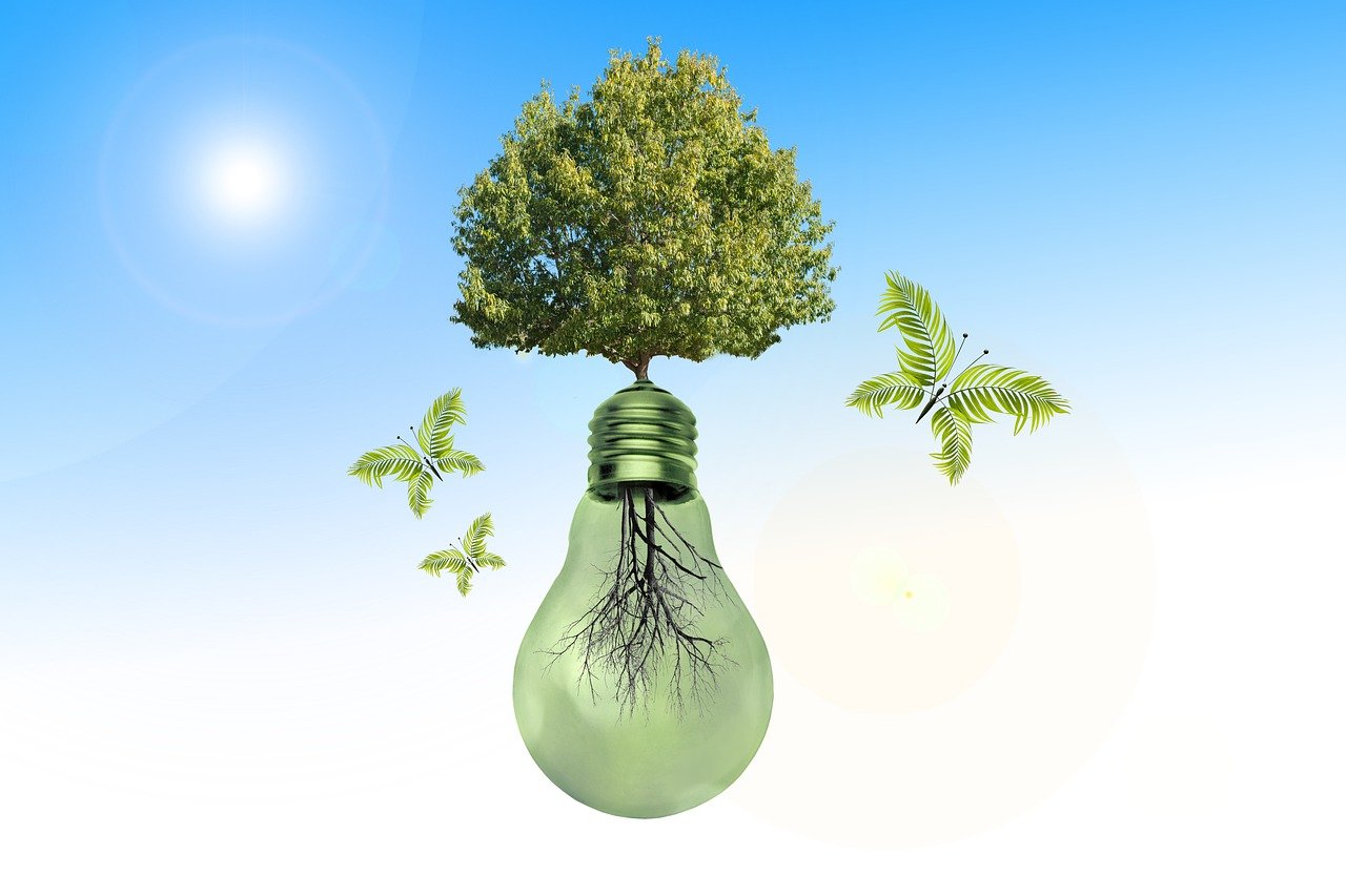 découvrez l'importance des ressources naturelles pour notre planète. explorez leur rôle essentiel dans l'économie, l'environnement et le développement durable, tout en apprenant comment les préserver pour les générations futures.