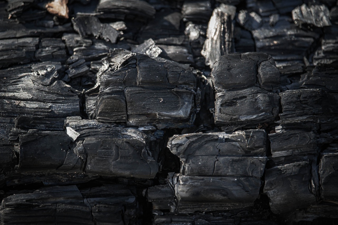découvrez l'empreinte carbone, un indicateur essentiel qui mesure l'impact environnemental des activités humaines. apprenez comment réduire votre empreinte et contribuer à un avenir durable.