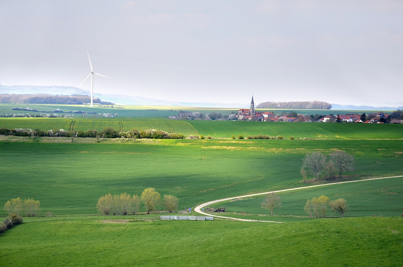découvrez les enjeux du développement durable et explorez des solutions innovantes pour un avenir respectueux de l'environnement. apprenez à intégrer des pratiques écoresponsables dans votre vie quotidienne et à contribuer à un monde plus harmonieux.