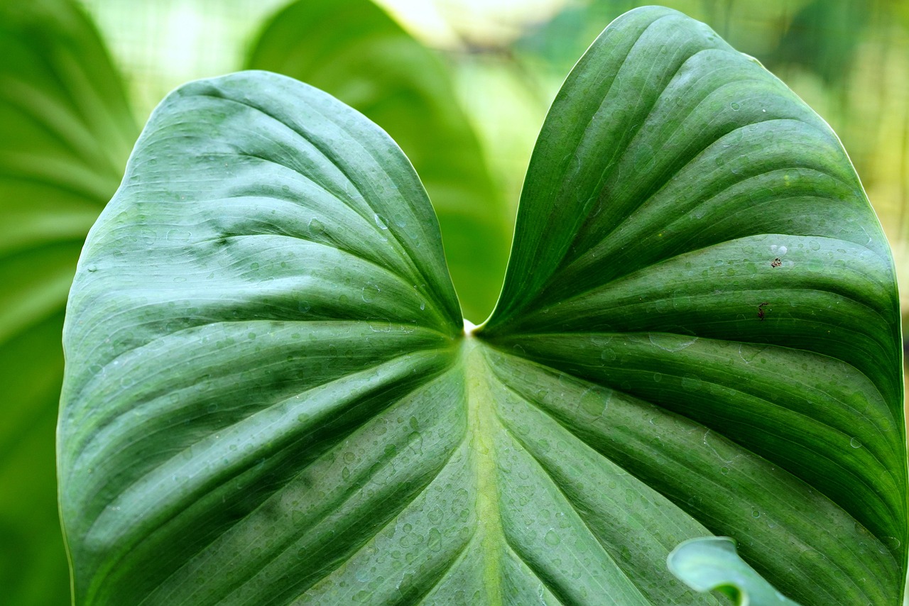 découvrez notre ciment écologique, une solution durable et respectueuse de l'environnement pour vos projets de construction, alliant performance et réduction de l'empreinte carbone.