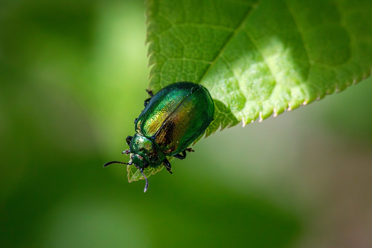 découvrez notre logiciel de gestion écologique, conçu pour optimiser vos ressources naturelles tout en réduisant votre impact environnemental. transformez votre approche en matière de durabilité grâce à des outils innovants et intuitifs.