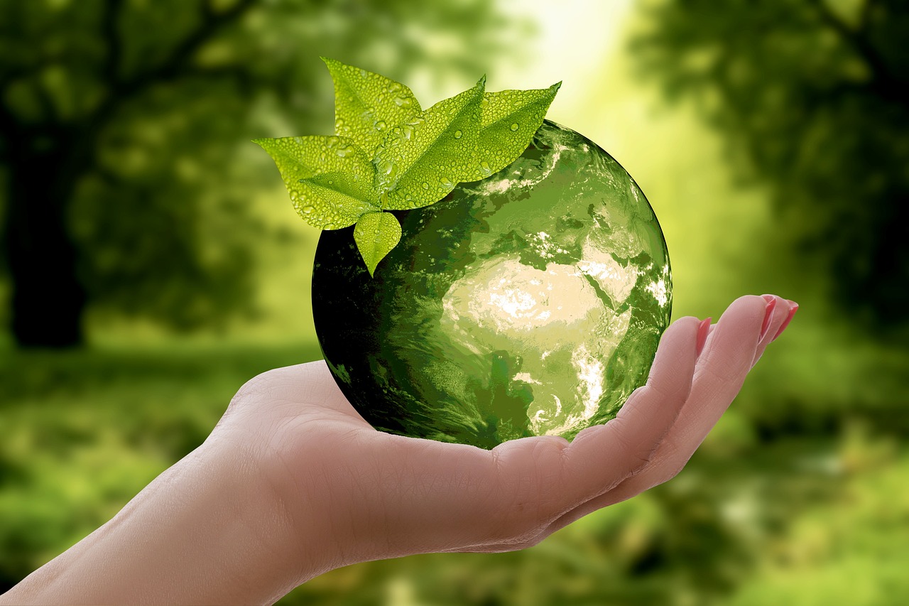 découvrez comment la durabilité transforme notre manière de vivre et de consommer. explorez des pratiques écologiques, des solutions innovantes et des conseils pour adopter un mode de vie plus respectueux de l'environnement.