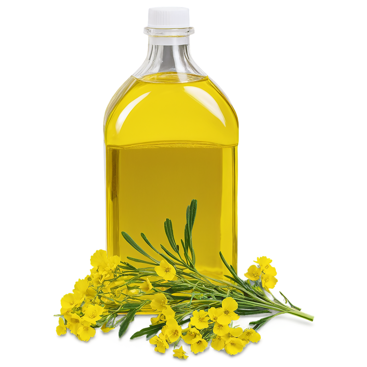 découvrez le biodiesel, une alternative écologique aux combustibles fossiles. apprenez comment cette énergie renouvelable contribue à réduire les émissions de gaz à effet de serre et à promouvoir la durabilité. explorez ses avantages, sa production et son utilisation dans le secteur des transports.