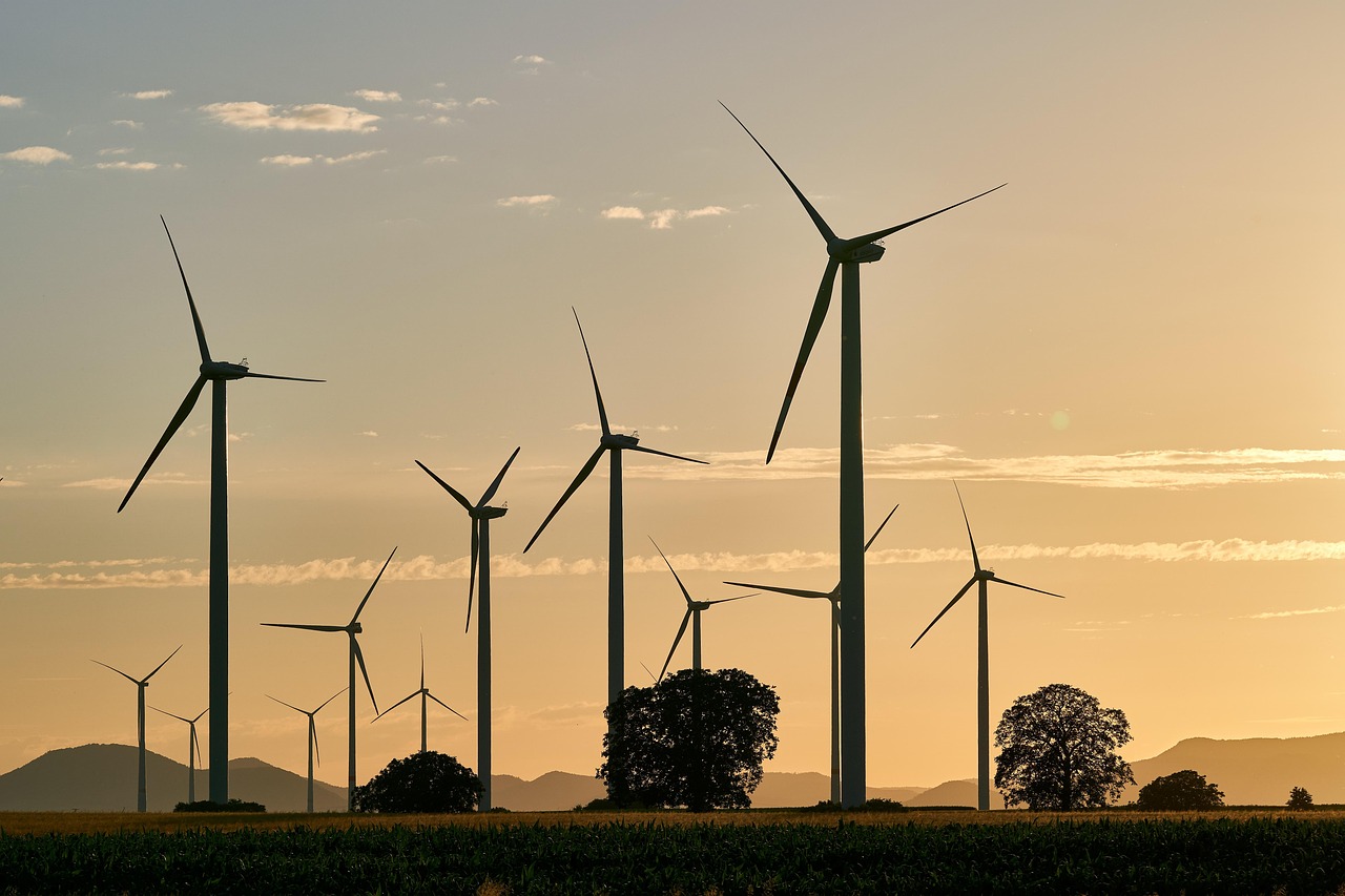 découvrez les solutions et innovations en énergie durable pour un avenir respectueux de l’environnement et économique.