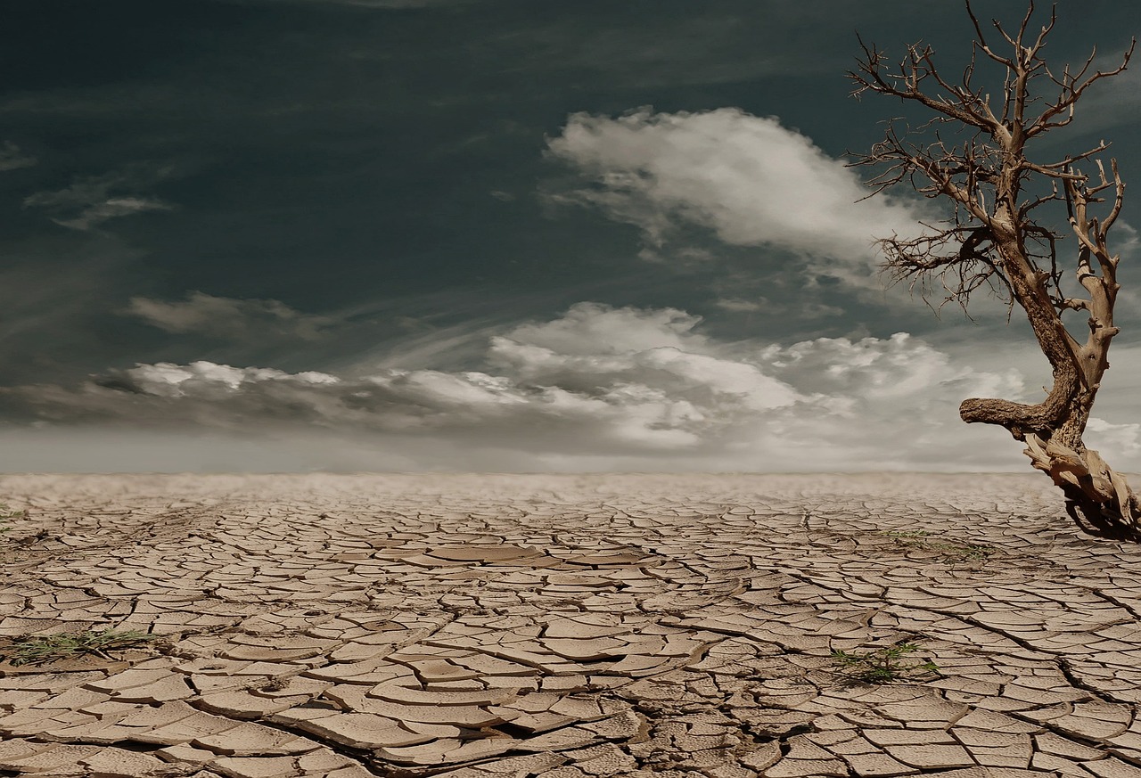 découvrez les stratégies et actions pour atteindre zéro artificialisation des sols, préserver la biodiversité et promouvoir un développement durable.