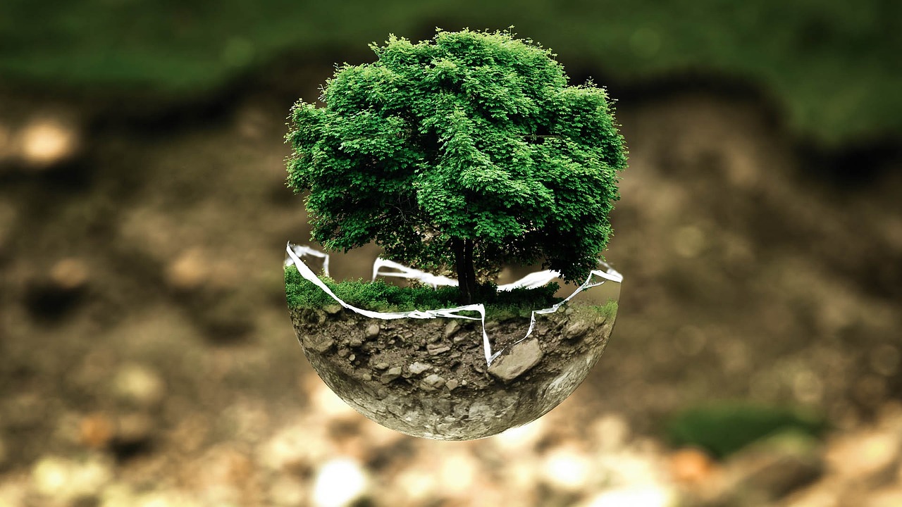 découvrez des experts en environnement, leaders dans la recherche et les solutions écologiques. obtenez des conseils avisés pour un avenir durable et responsable.