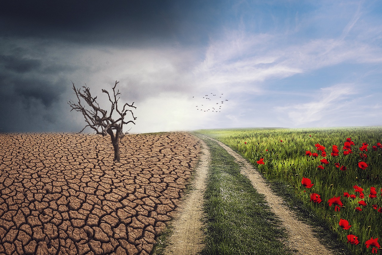 découvrez les enjeux du changement climatique, ses impacts sur notre planète, et les actions à entreprendre pour un avenir durable. informez-vous sur les solutions pour lutter contre ce phénomène mondial.