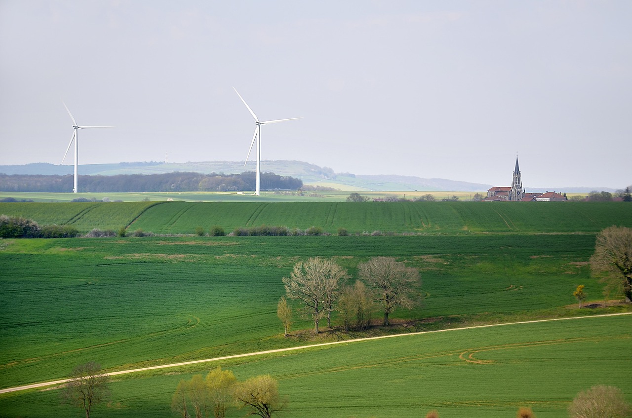 découvrez comment le développement durable allie écologie, économie et équité sociale pour garantir un avenir meilleur. explorez des solutions innovantes et des pratiques responsables qui préservent notre planète pour les générations futures.