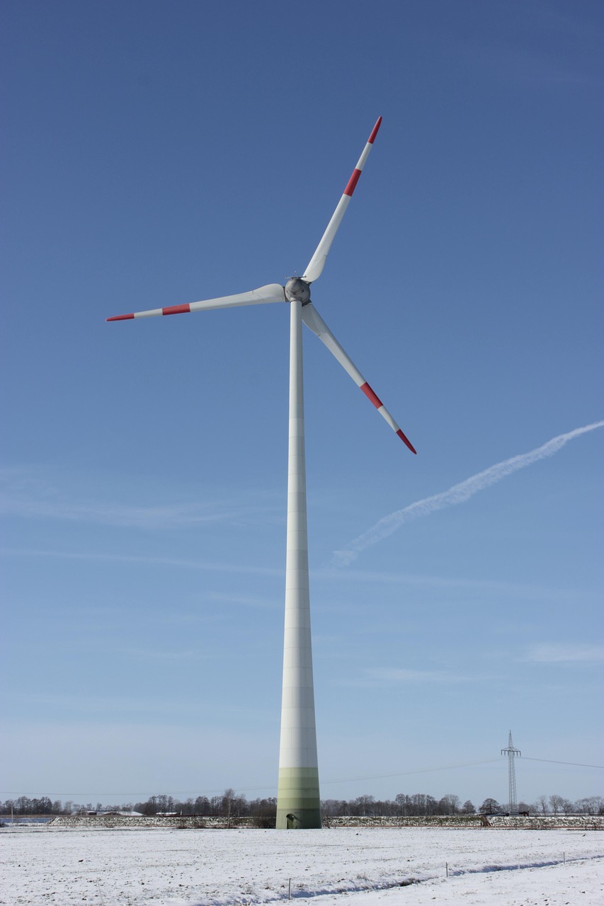 découvrez comment adopter la sustainability au quotidien grâce à des conseils pratiques, des astuces et des solutions innovantes pour un mode de vie respectueux de l'environnement.