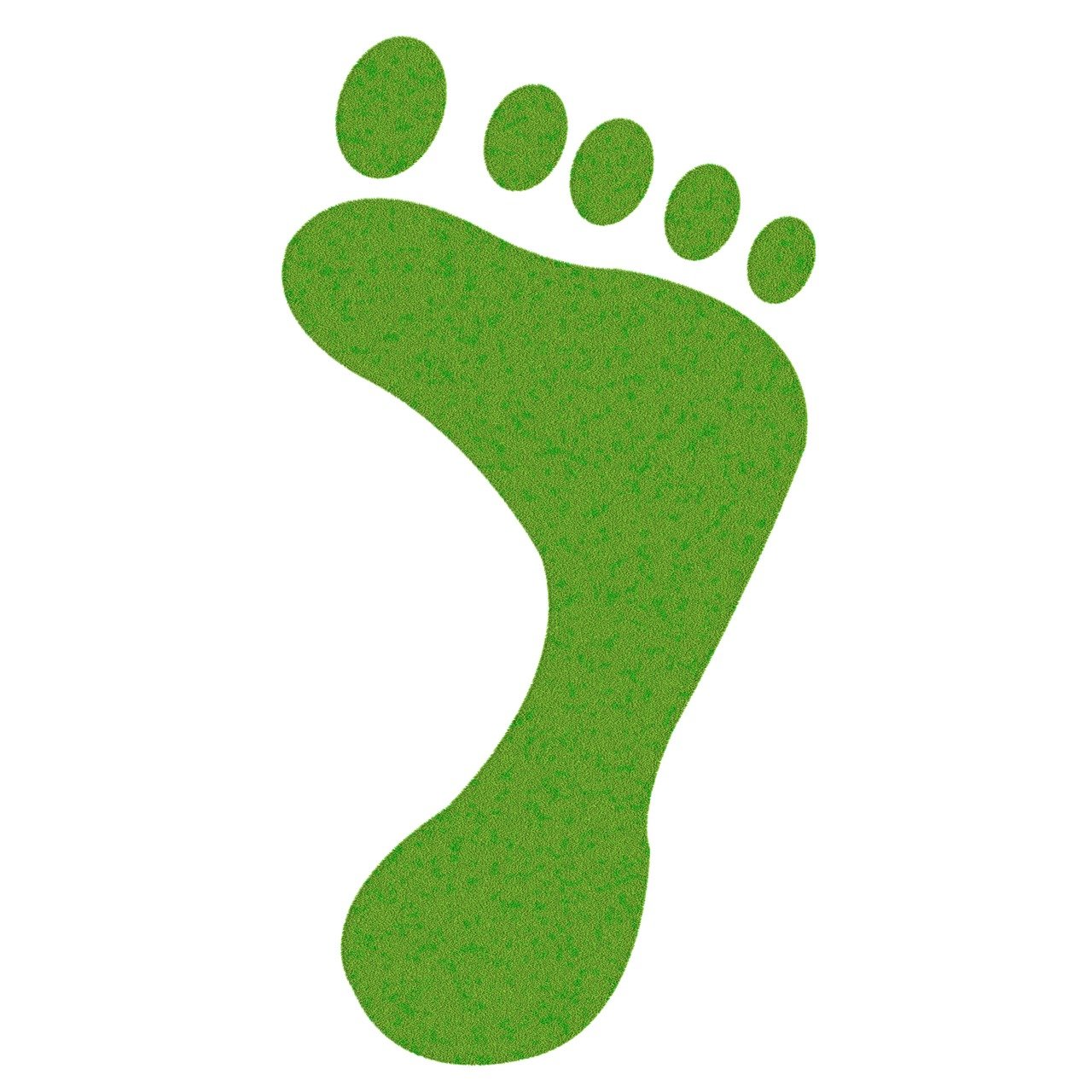 découvrez ce qu'est l'empreinte carbone, comment elle impacte l'environnement et quelles actions adopter pour la réduire efficacement au quotidien.