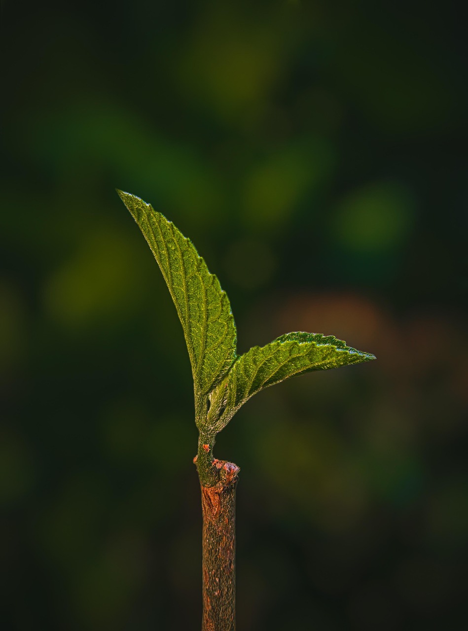 Des solutions innovantes pour un ciment plus respectueux de l’environnement