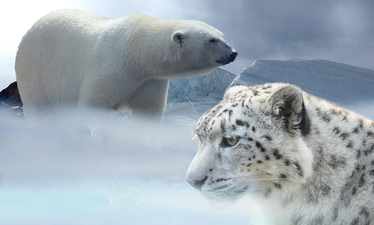 Comprendre les changements climatiques et leurs enjeux globaux
