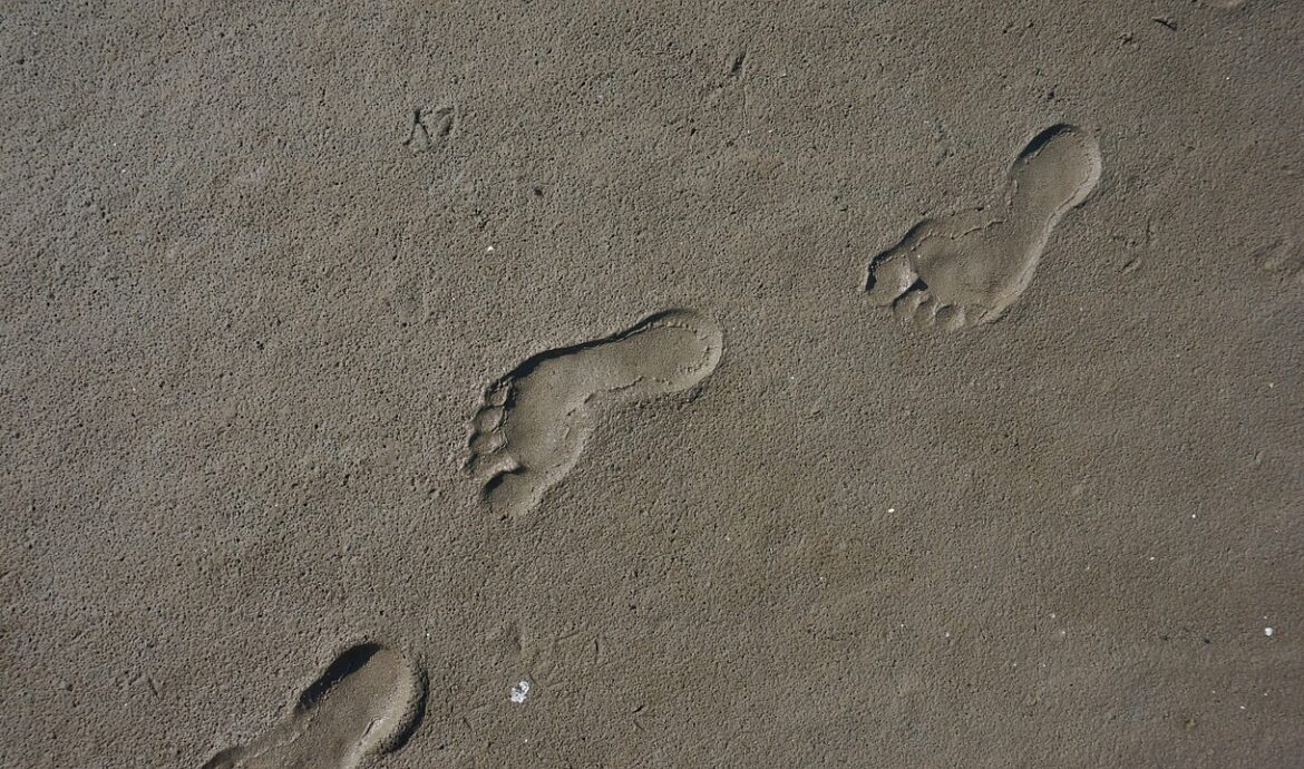 découvrez l'empreinte carbone de la pêche et comment réduire son impact environnemental grâce à des pratiques durables et responsables.