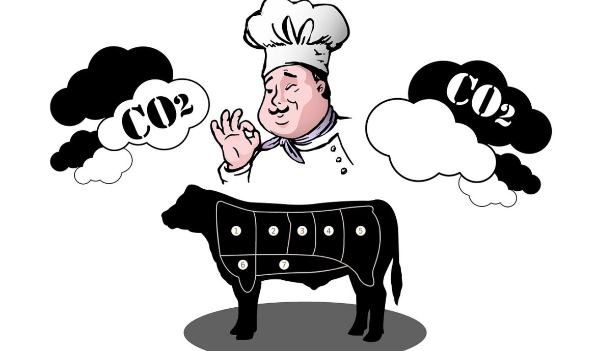 comprenez l'empreinte carbone, mesure de l'impact environnemental liée aux émissions de gaz à effet de serre, et découvrez comment la réduire pour un avenir plus durable.