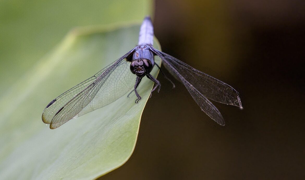 découvrez notre gamme de produits ménagers écologiques, efficaces et respectueux de l'environnement pour un foyer sain et durable.