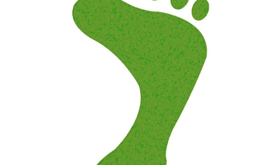 découvrez des stratégies efficaces pour réduire votre empreinte carbone et contribuer à la protection de l'environnement.