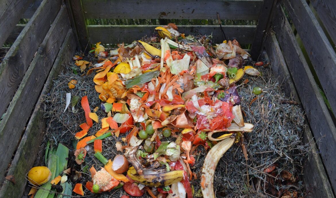 découvrez notre bac à compost pratique et écologique, idéal pour recycler vos déchets organiques et enrichir votre jardin naturellement.