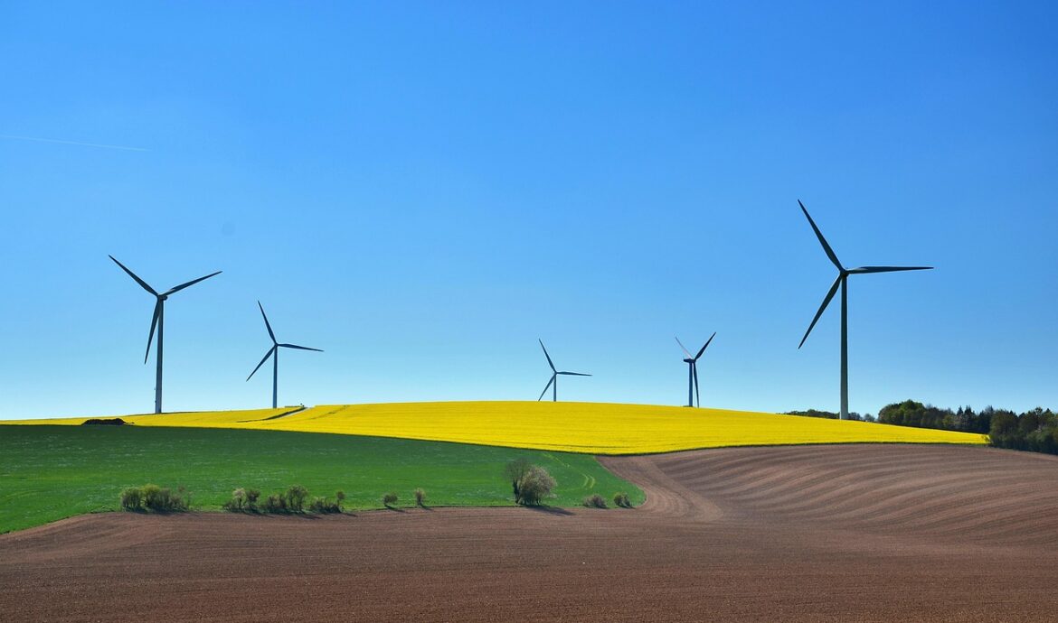 découvrez les principes du développement durable pour un avenir respectueux de l'environnement, socialement équitable et économiquement viable.