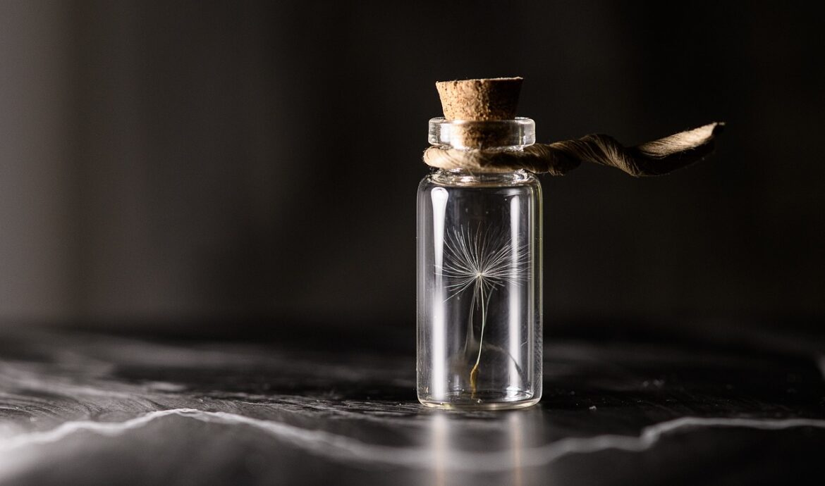 découvrez les enjeux cruciaux de la préservation des glaciers face au changement climatique et les actions pour protéger ces réserves essentielles d'eau douce.