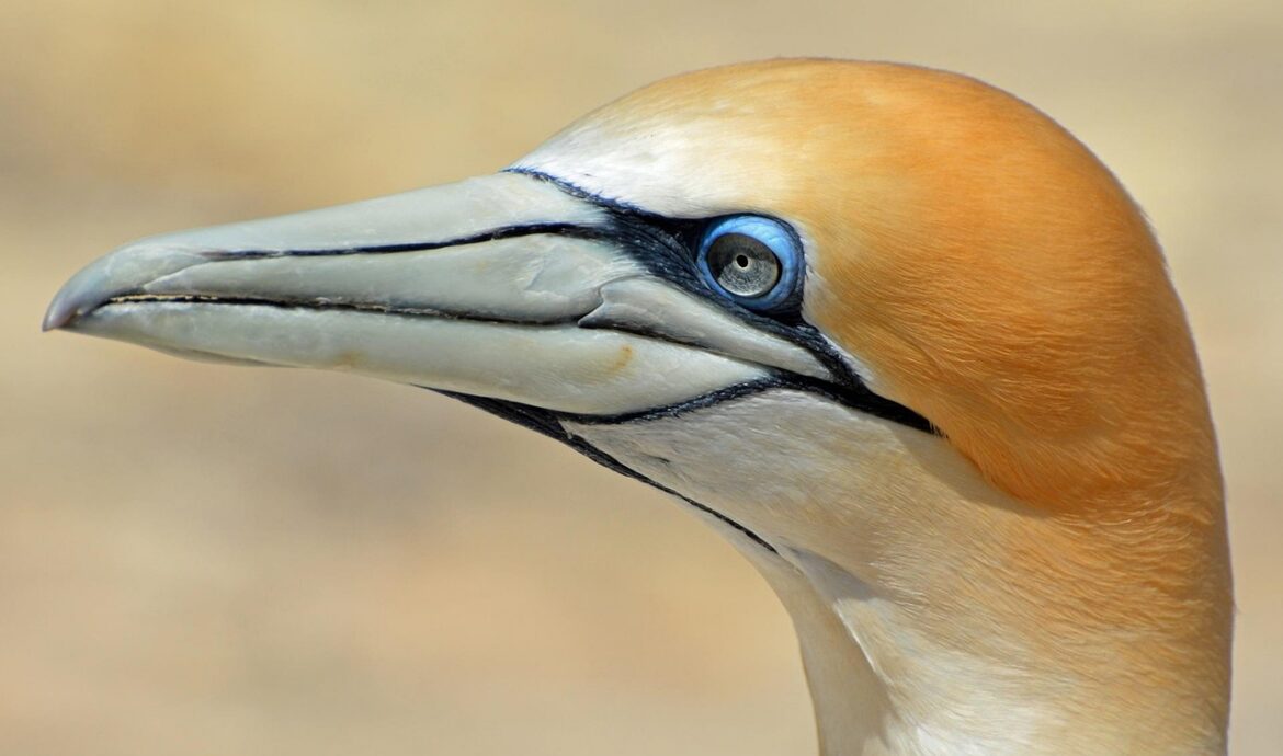dernières actualités et informations à jour pour vous tenir informé des événements importants.