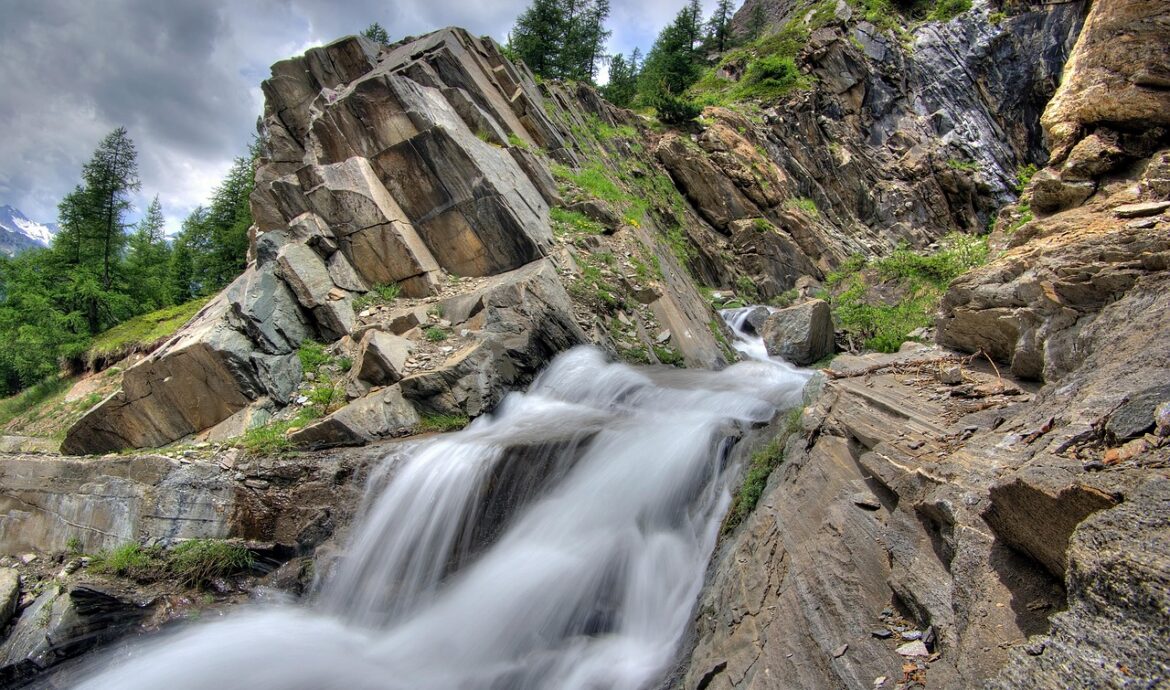 découvrez tout sur l'environnement : protection, biodiversité, énergies renouvelables et actions pour un avenir durable.