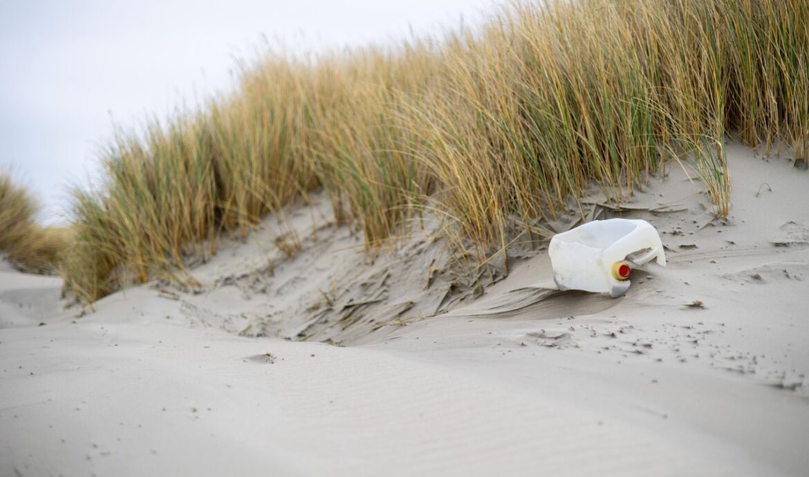 découvrez les causes, les impacts et les solutions à la pollution plastique pour protéger notre environnement et préserver la biodiversité.